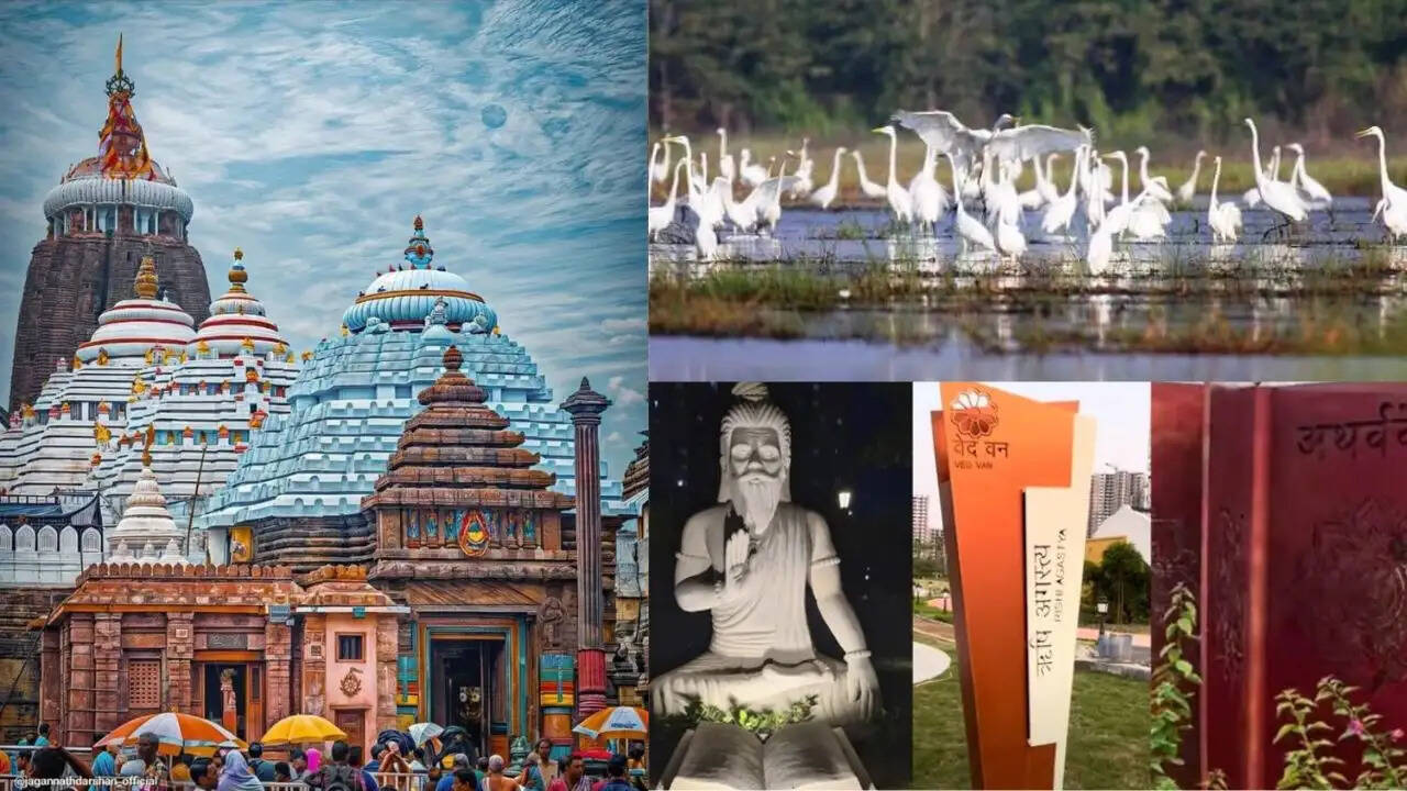 नोएडा में घूमने के लिए बेहतरीन मुफ्त स्थान