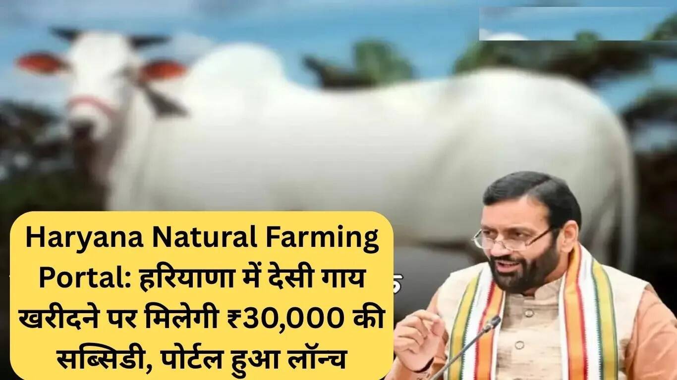 हरियाणा में देसी गाय खरीदने पर मिलेगी ₹30,000 की सब्सिडी