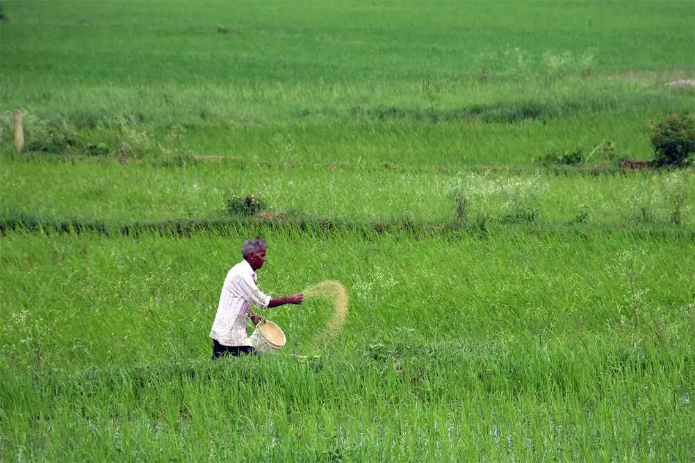 भारत की उर्वरक निर्भरता: खाद्य सुरक्षा के लिए चिंता का विषय