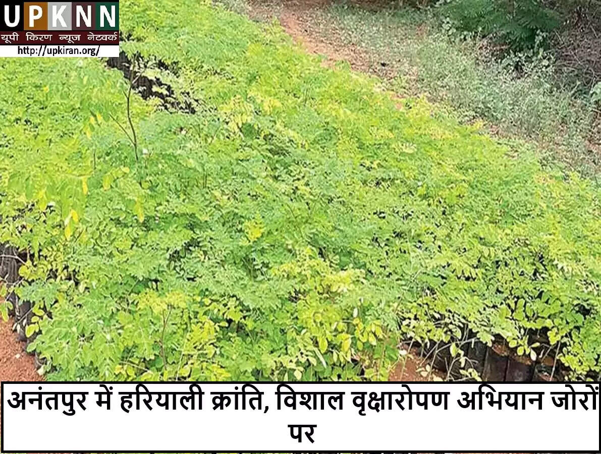 आंध्र प्रदेश में वृक्षारोपण अभियान से बढ़ेगी हरियाली
