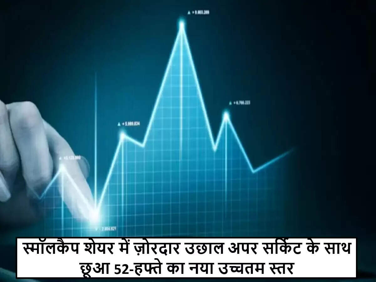 छोटे पूंजी वाले शेयर ने बनाया नया रिकॉर्ड, निवेशकों के लिए खुशखबरी
