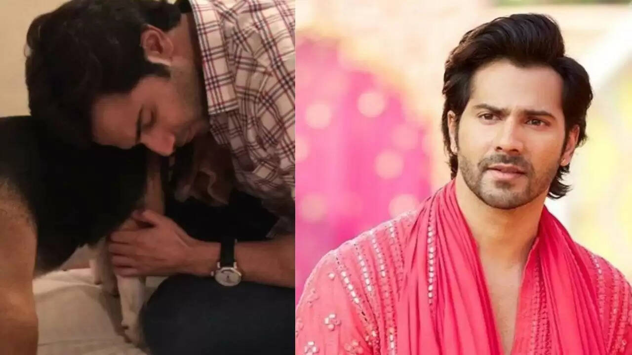 वरुण धवन के पालतू कुत्ते एंजेल का निधन, भावुक पोस्ट साझा किया