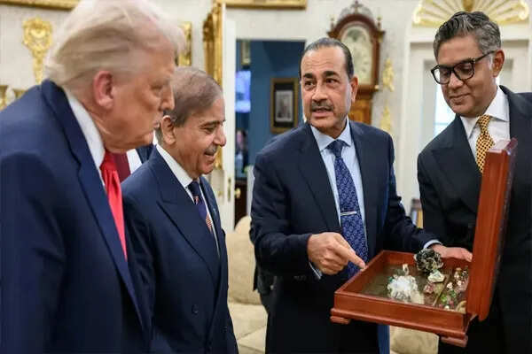 पाकिस्तान की खनिज संपदा और अमेरिका के साथ नई रणनीति