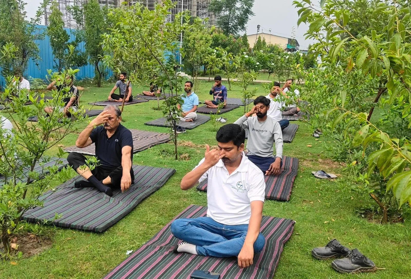 अमृतसर में विश्व योग दिवस पर आयोजित हुआ योग शिविर