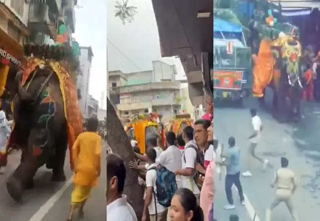 अहमदाबाद में जगन्नाथ रथ यात्रा के दौरान हाथी बेकाबू, भगदड़ मची