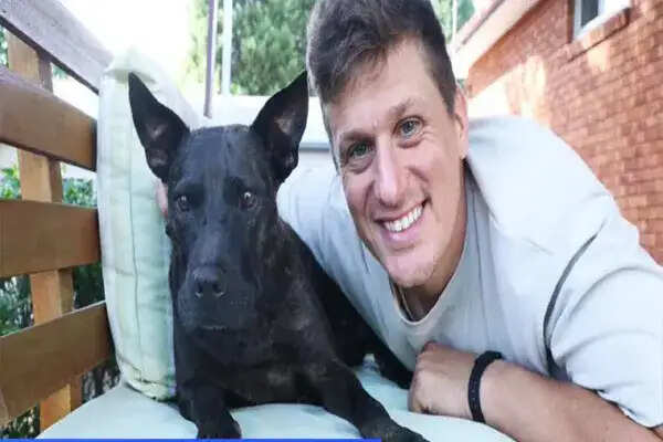 AI की मदद से पालतू कुत्ते के कैंसर का सफल इलाज