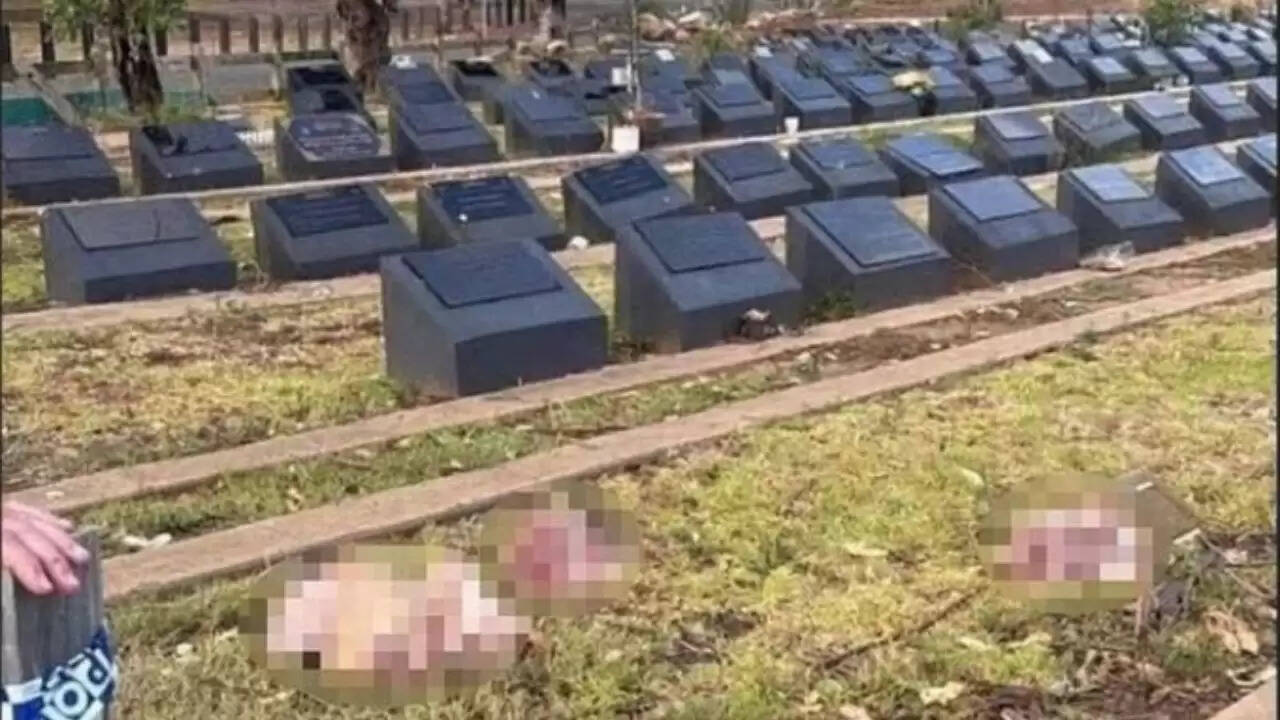 सिडनी में मुस्लिम कब्रिस्तान में सुअर के सिर फेंकने की घटना पर प्रतिक्रिया