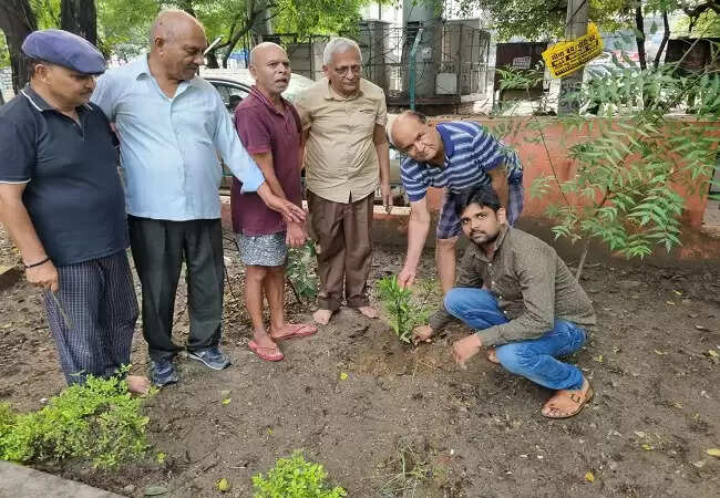 वृक्षारोपण कार्यक्रम में विराट खंड दो के स्वयंसेवकों ने किया योगदान