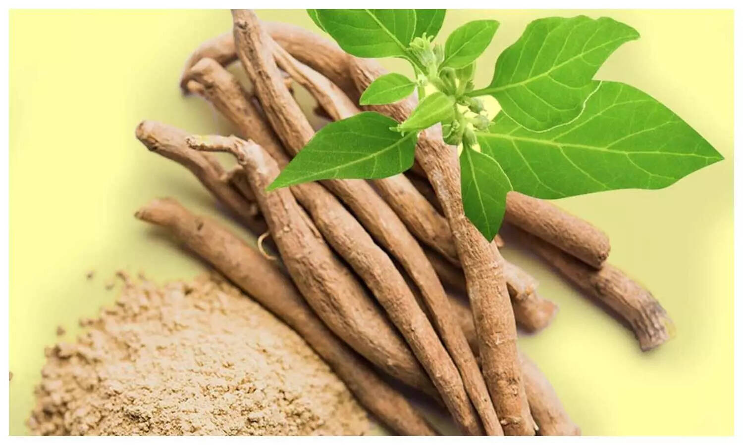 अश्वगंधा: स्वास्थ्य के लिए अद्भुत लाभ