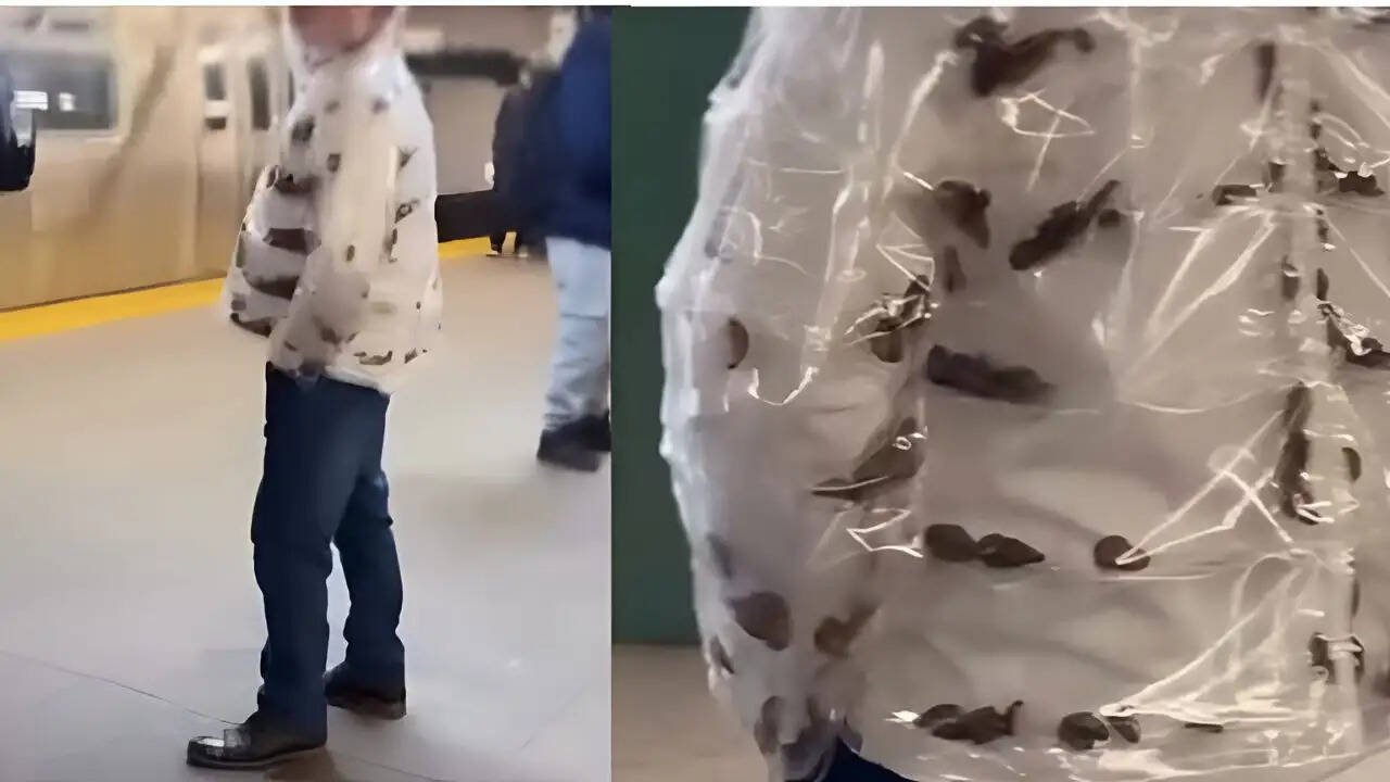 न्यूयॉर्क में कॉकरोच जैकेट का अनोखा फैशन ट्रेंड