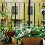 गार्डन की सुरक्षा: खराब एक्यूआई से बचाव के उपाय