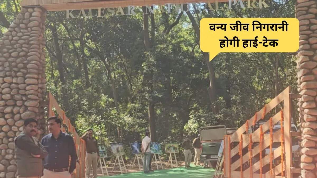 कलेसर नेशनल पार्क में एआई सिस्टम की स्थापना से सुरक्षा में होगी वृद्धि