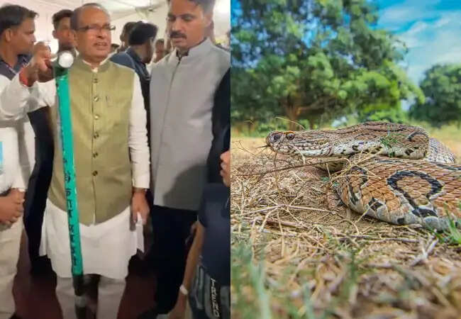 किसानों के लिए सुरक्षा का नया उपाय: किसान मित्र छड़ी