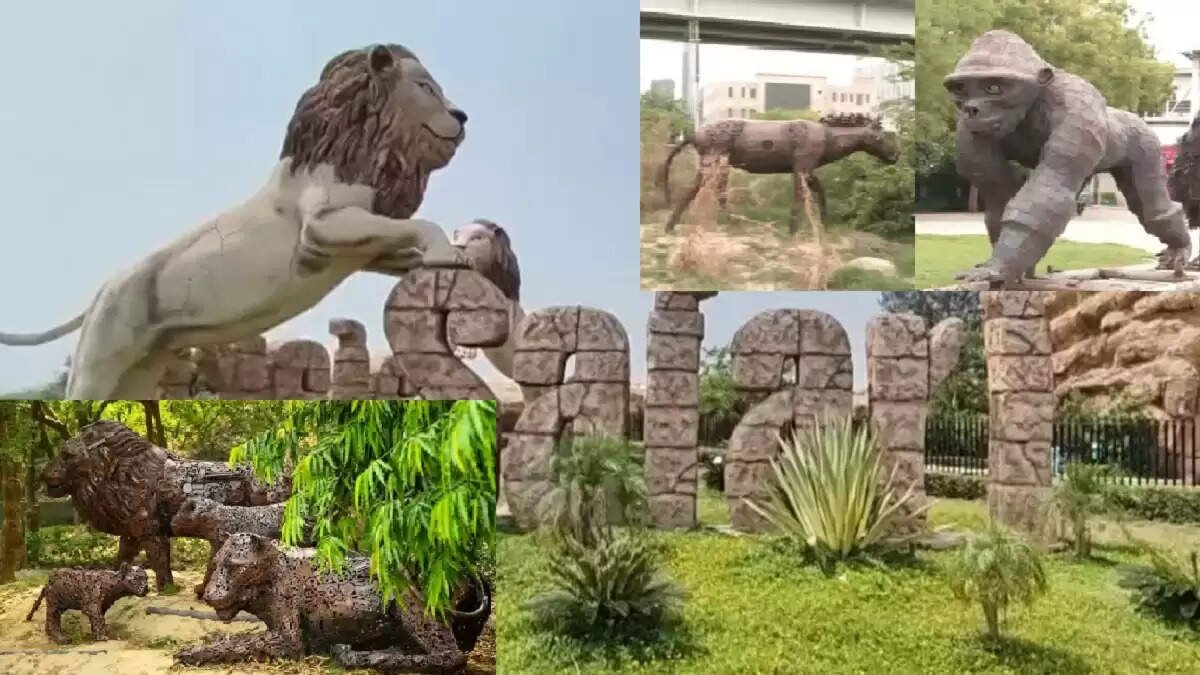 नोएडा में नया जंगल ट्रेल: एडवेंचर और नाइट सफारी का अनुभव