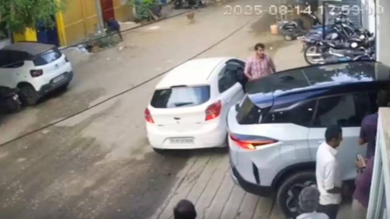 क्या Tata Harrier EV के Summon Mode ने ली एक व्यक्ति की जान? जानें पूरी कहानी