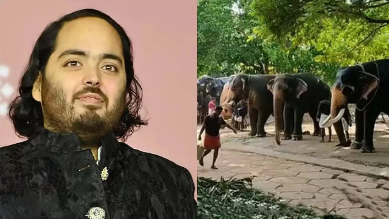 सुप्रीम कोर्ट ने वंतारा सेंटर की जांच के लिए SIT का गठन किया