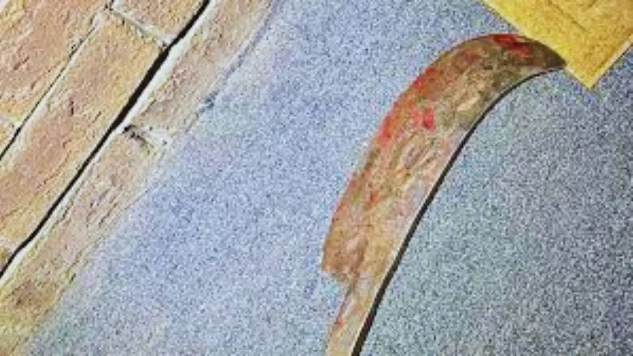 वर्जीनिया में घरेलू हिंसा का भयानक मामला: पिता ने पत्नी और बेटी की हत्या की