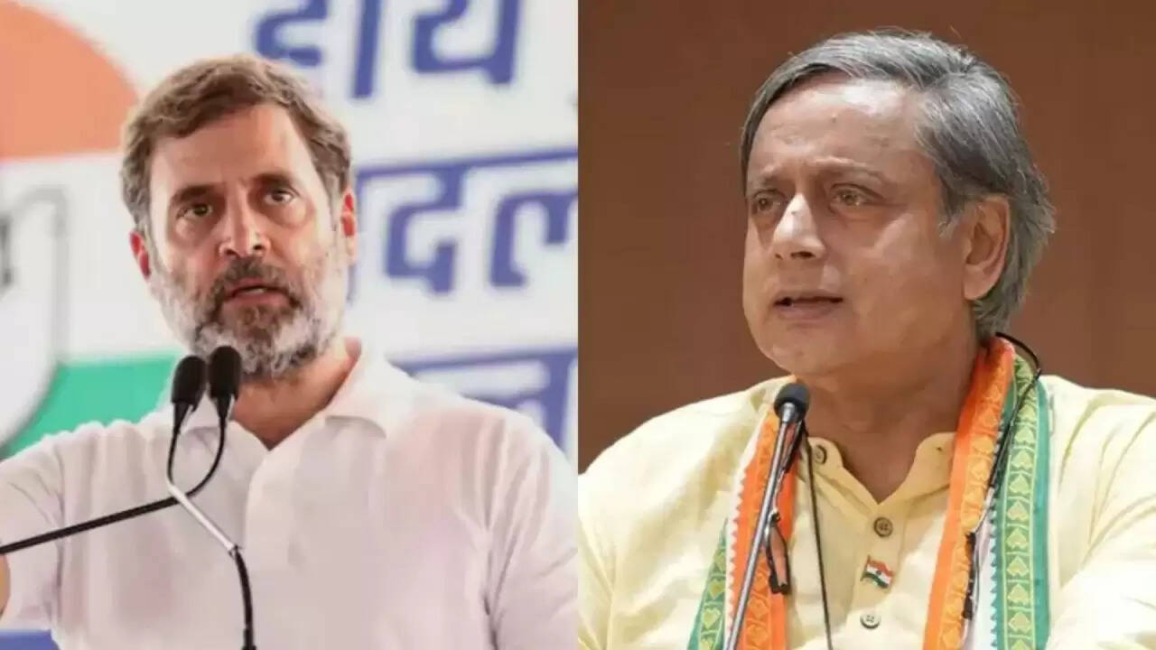 राहुल गांधी ने पुतिन के दौरे पर सरकार को घेरा, विपक्ष की भूमिका पर उठाए सवाल