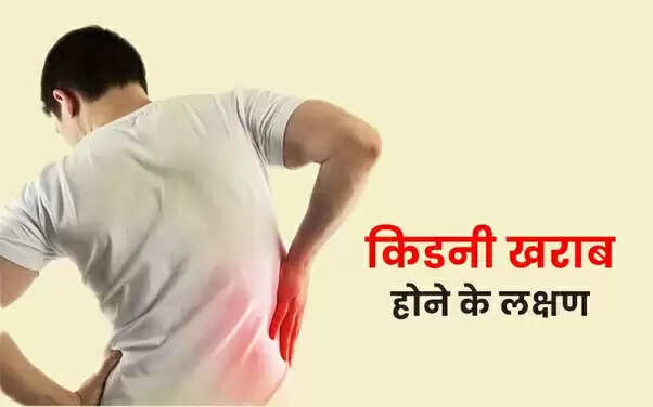 किडनी स्वास्थ्य: खराब होने के संकेत और सावधानियाँ