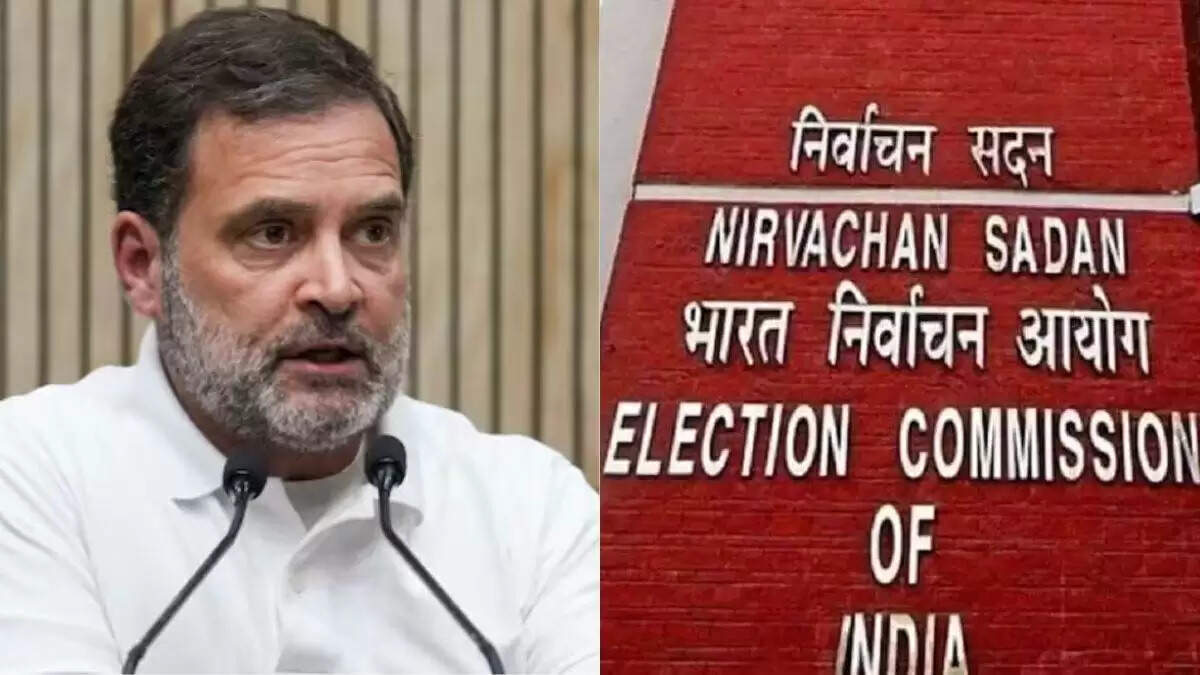 चुनाव आयोग ने राहुल गांधी को दी चेतावनी, मांगी हलफनामा पर साइन