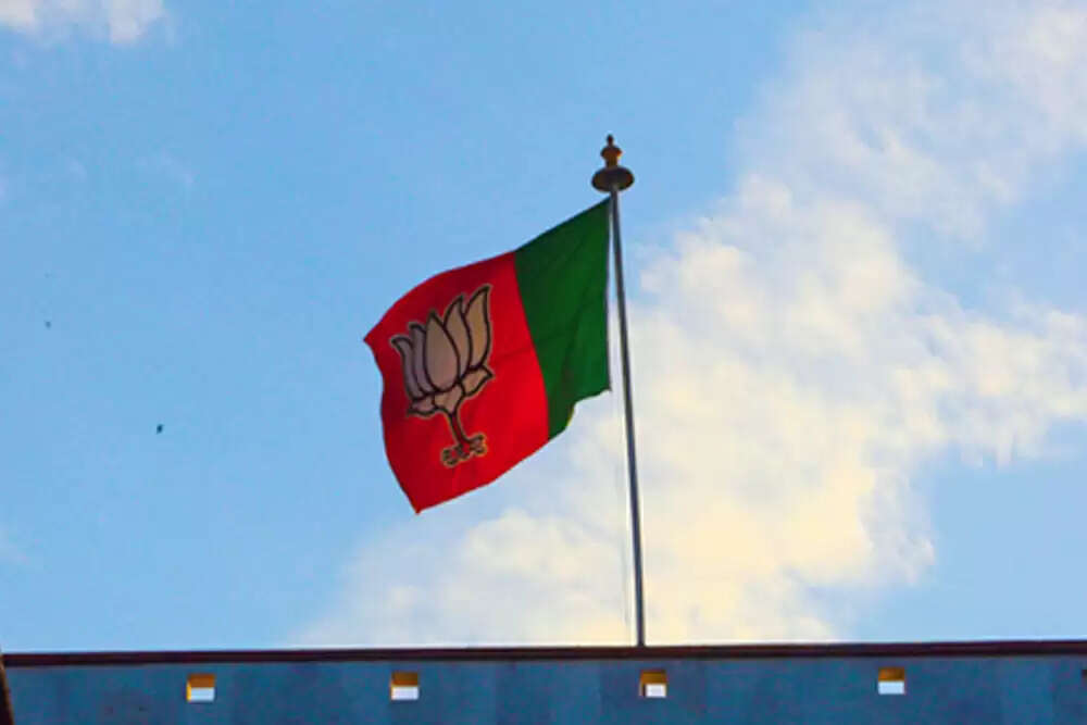 भाजपा ने विधानसभा उपचुनाव 2025 के लिए उम्मीदवारों की पहली सूची जारी की
