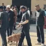 गुजरात और कर्नाटक में बम धमकी: 7 अदालतों को खतरा