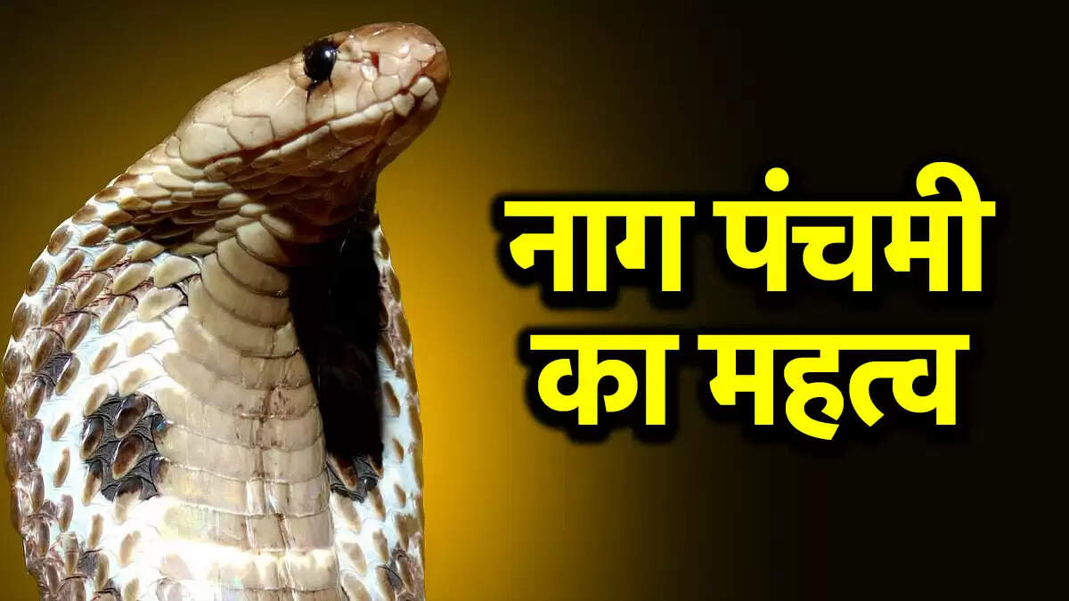 नाग पंचमी 2025: पूजा का शुभ मुहूर्त और महत्वपूर्ण जानकारी