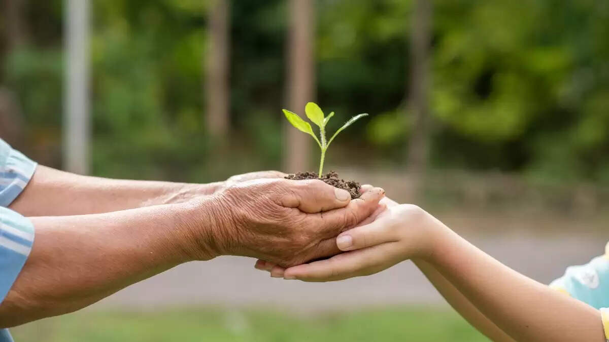 निर्जला एकादशी 2025: उपवास और दान का महत्व