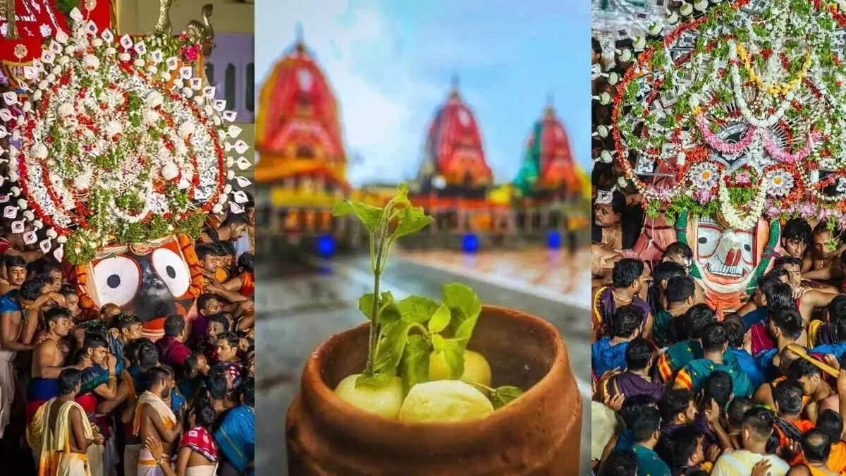 रथ यात्रा 2025: निलाद्री बिजे और रसगुल्ला दिवस का उत्सव