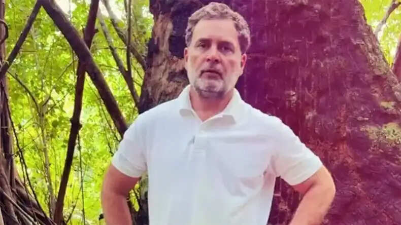 राहुल गांधी ने ग्रेट निकोबार परियोजना पर मोदी सरकार को घेरा