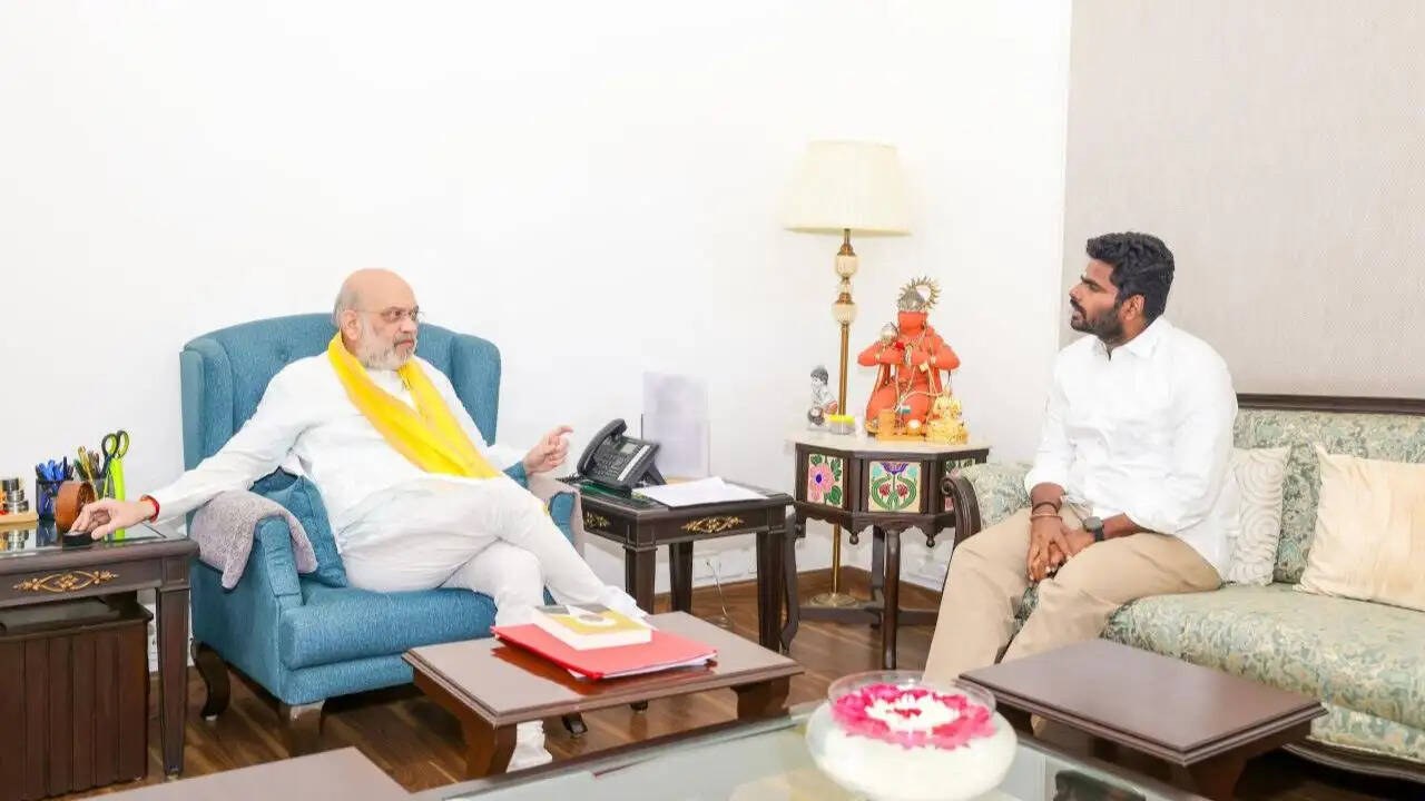 तमिलनाडु बीजेपी के पूर्व अध्यक्ष अन्नामलाई की दिल्ली में महत्वपूर्ण बैठकें