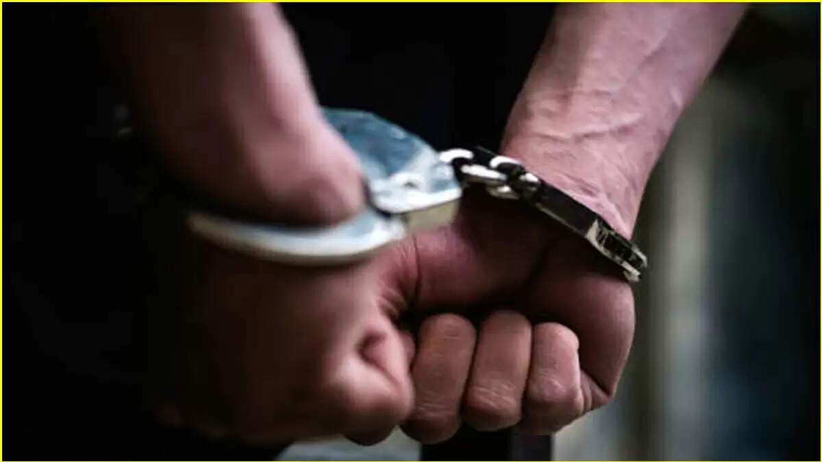 मुंबई एयरपोर्ट पर ड्रग्स तस्करी का बड़ा खुलासा, विदेशी नागरिक गिरफ्तार