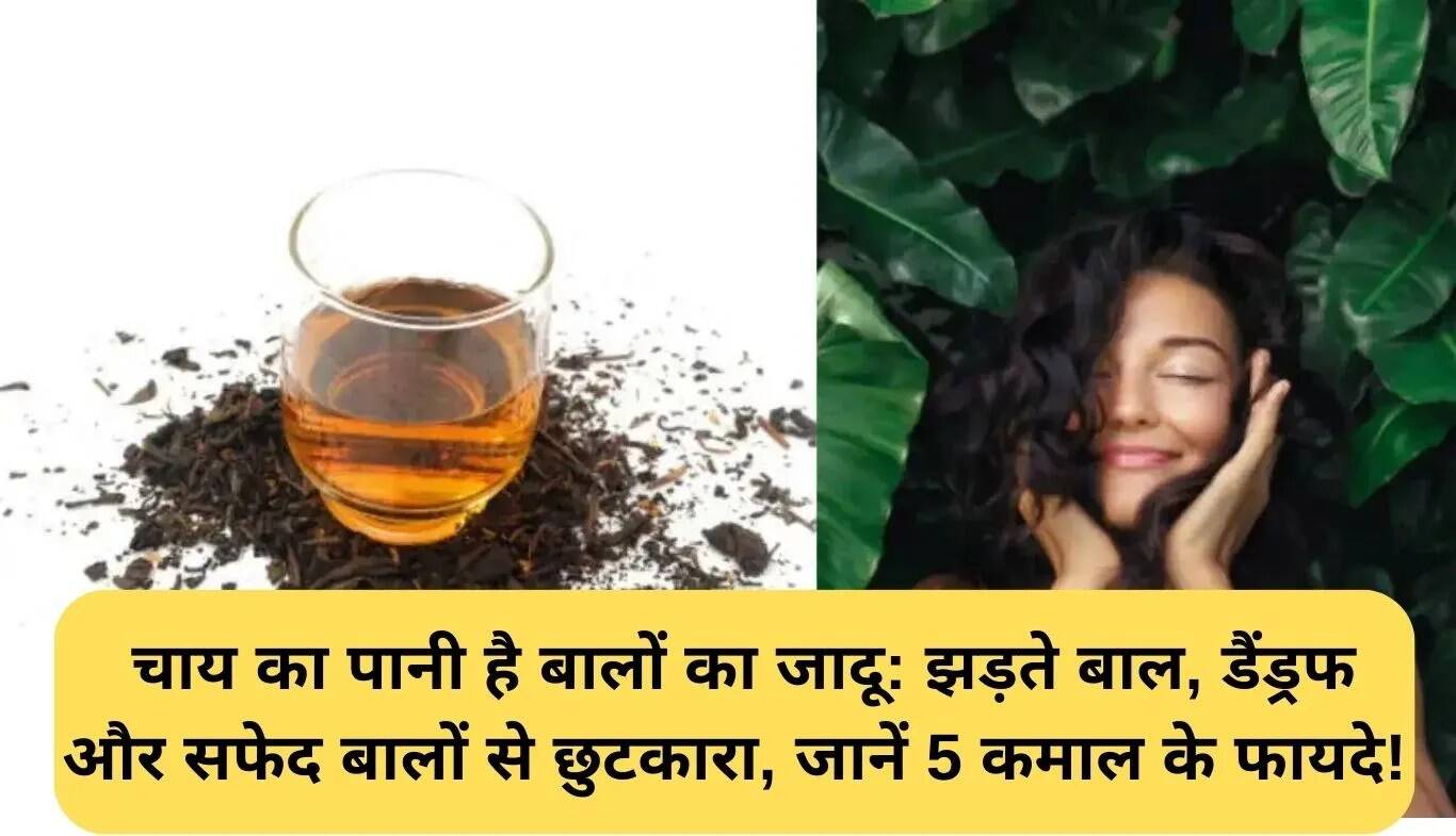 चाय पत्ती का पानी: बालों के लिए 5 अद्भुत लाभ