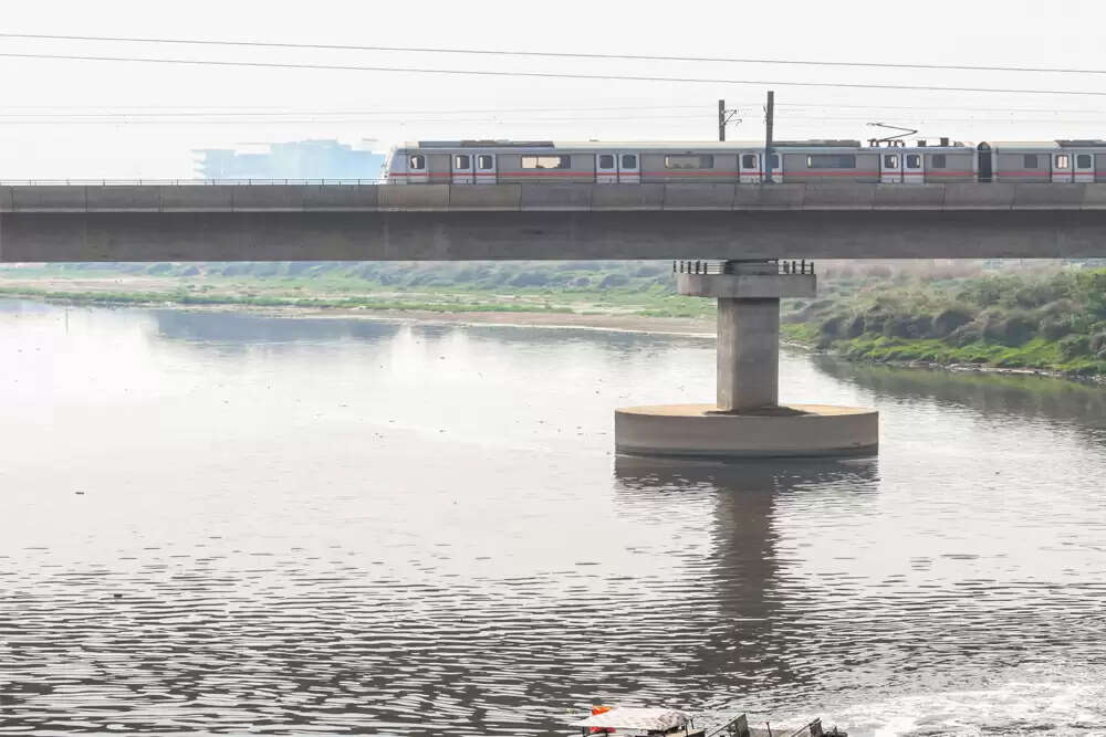 दिल्ली में यमुना की सफाई पर सवाल: क्रूज चलाने की तैयारी