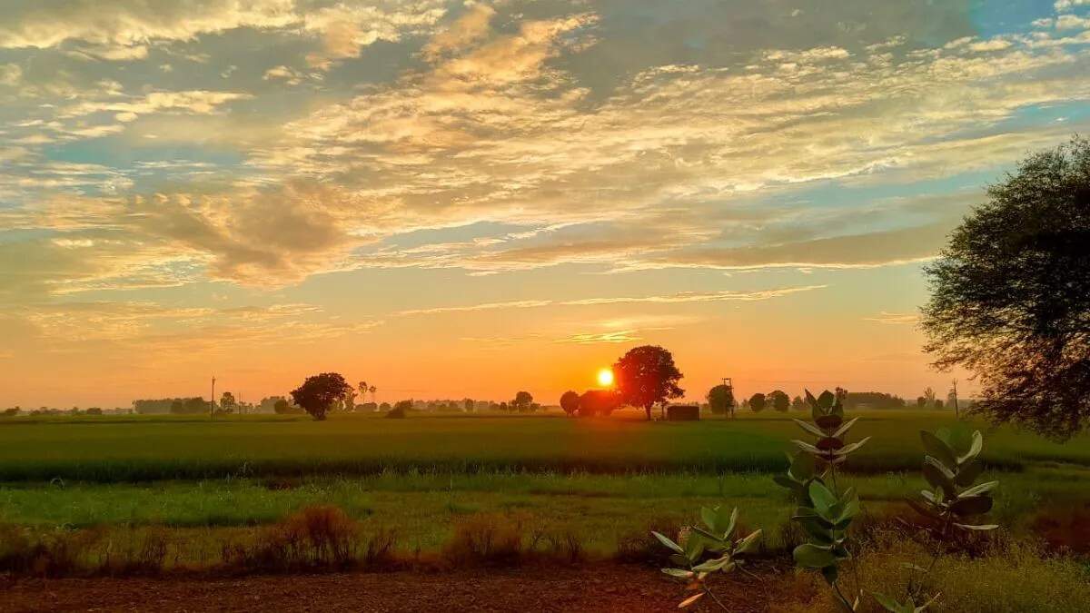 25 नवंबर का मौसम अपडेट: उत्तर भारत में सर्दी और दक्षिण में भारी बारिश का अलर्ट