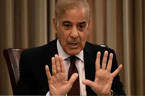पाकिस्तान ने UNSC की अध्यक्षता संभालते ही कश्मीर मुद्दा उठाया