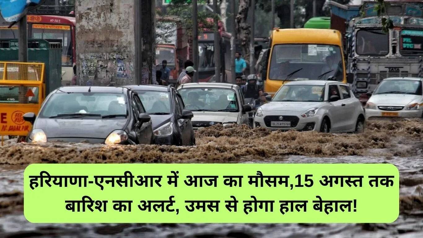 हरियाणा और एनसीआर का मौसम: 13 अगस्त 2025 की रिपोर्ट