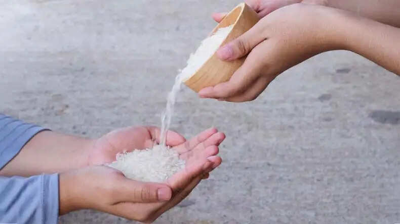 गंगा दशहरा पर राशि अनुसार दान का महत्व
