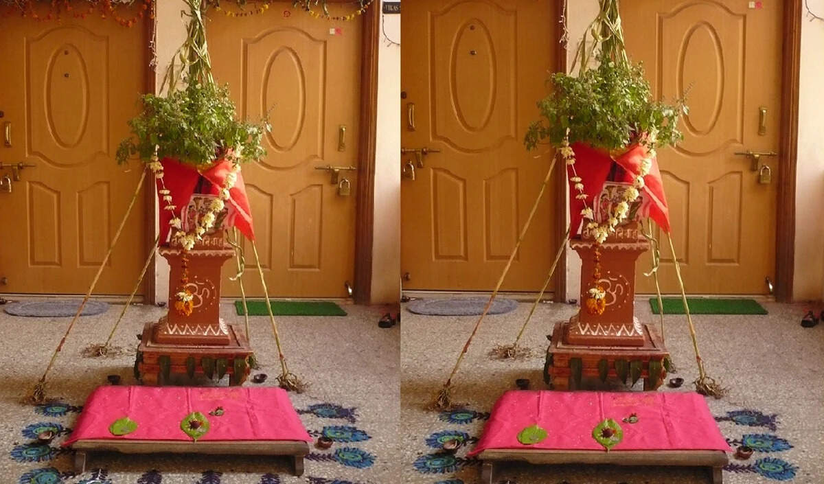 क्या तुलसी को चुनरी ओढ़ाना सही है? जानें धार्मिक मान्यता