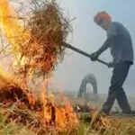 पंजाब में पराली जलाने के मामले बढ़े, किसान नहीं मान रहे चेतावनियों को