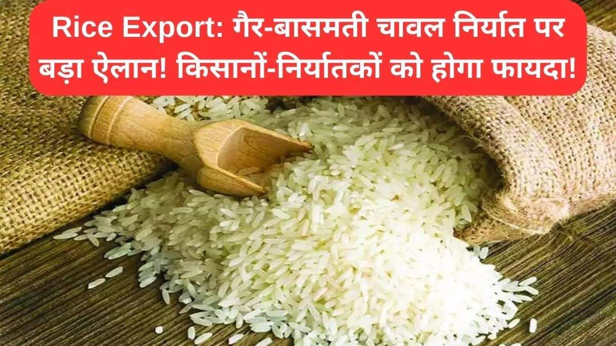 भारत में गैर-बासमती चावल के निर्यात के लिए नई एपीडा रजिस्ट्रेशन शर्तें