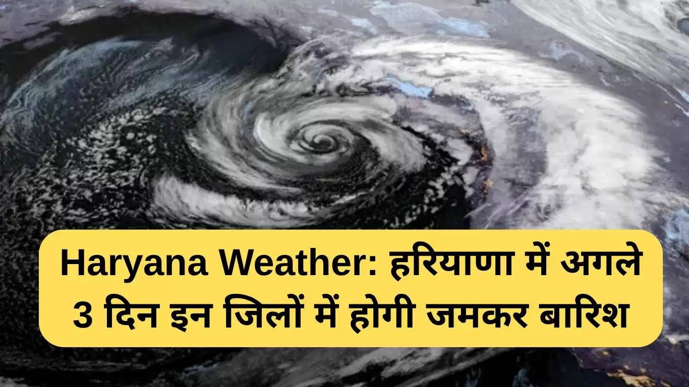 हरियाणा में अगले 3 दिनों तक भारी बारिश का अलर्ट