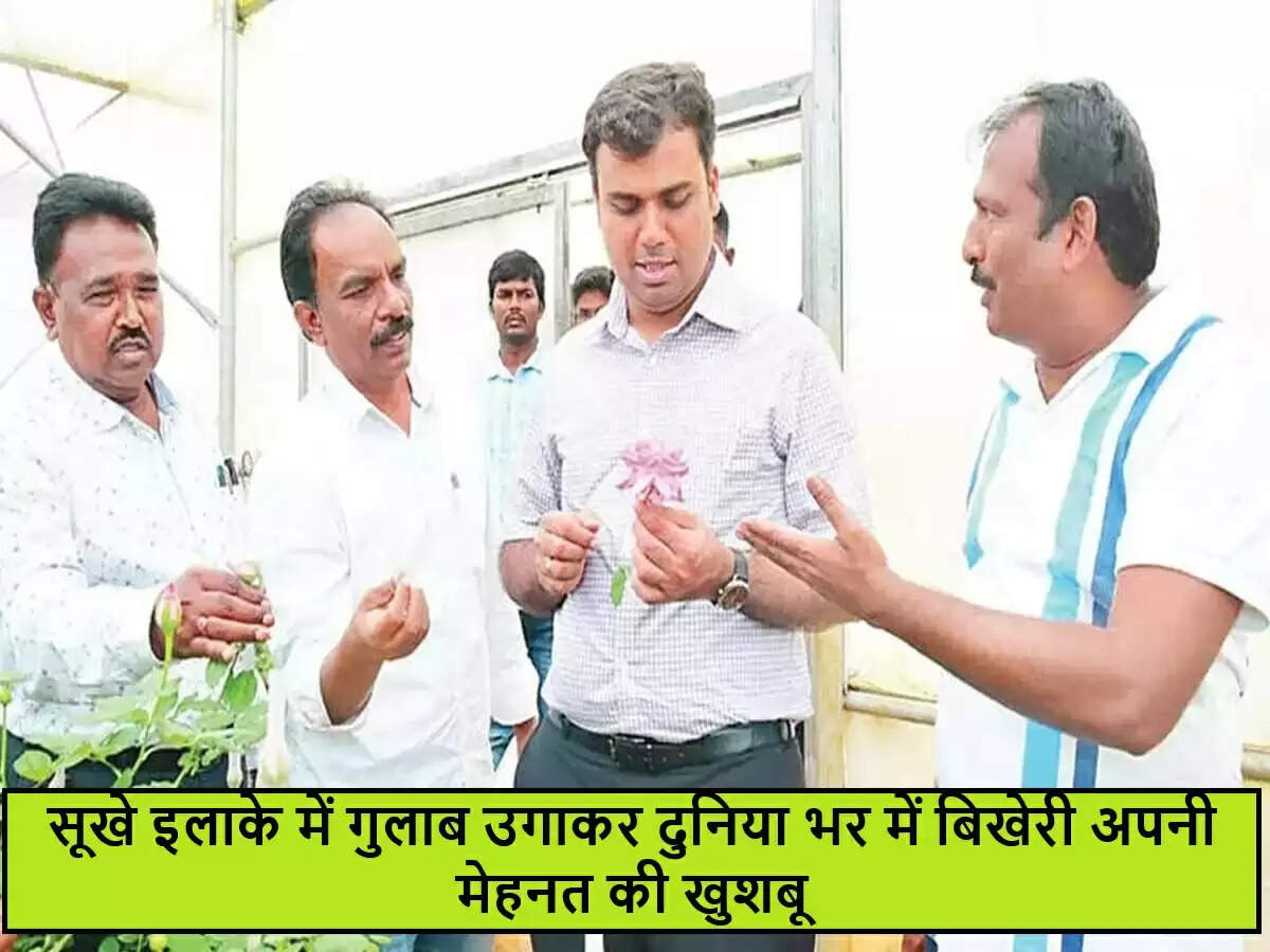 आंध्र प्रदेश के किसान की प्रेरणादायक कहानी: अंतरराष्ट्रीय बाजार में गुलाब की खेती