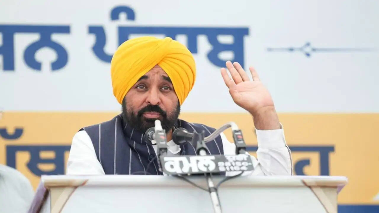 पंजाब में आवारा कुत्तों की समस्या पर सीएम भगवंत मान का बड़ा ऐलान