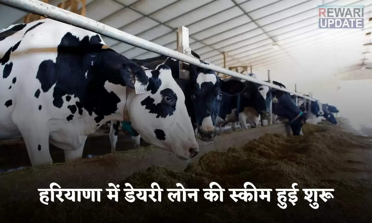 हरियाणा में पशुपालन के लिए नई डेयरी लोन योजना की शुरुआत
