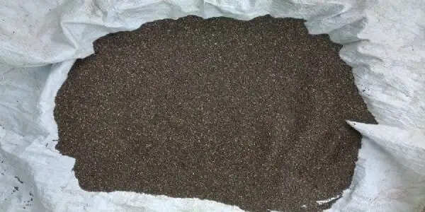 सिताही कुटकी, नागदमन कुटकी और बैंगनी अरहर बनेगी मप्र की शान, शीघ्र मिलेगा जीआई टैग