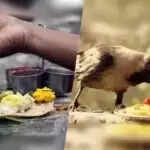 पितृ पक्ष में कौओं को भोजन कराने का महत्व और लाभ