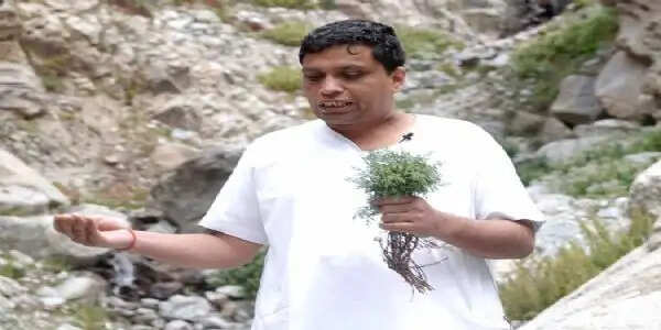 भारत की वनस्पति विरासत संवार रहा पतंजलि, 27 हजार से अधिक नमूने संरक्षित