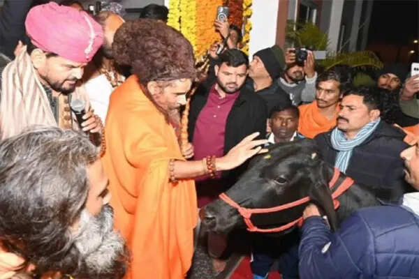 सदगुरु ऋतेश्वर महाराज के जन्मदिन पर बृजभूषण ने दी 20 लाख की श्यामा गाय
