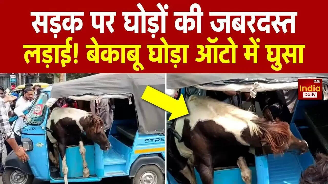 जबलपुर में घोड़ों की लड़ाई ने मचाई अफरा-तफरी, ई-रिक्शा में कूदने से घायल हुए लोग
